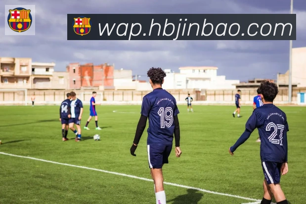 云开全站app登录入口平台生态图